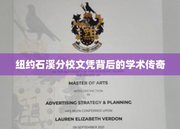 纽约石溪分校文凭背后的学术传奇