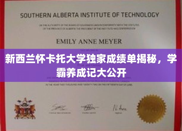 新西兰怀卡托学霸之路，独家成绩单背后的成长奥秘大公开