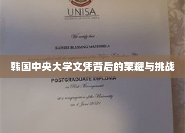 中央大学文凭，揭秘荣耀之路的挑战与辉煌
