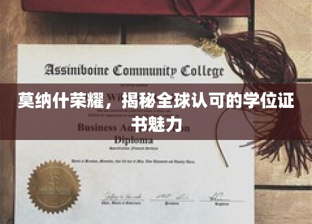 莫纳什荣耀，揭秘全球认可的学位证书魅力