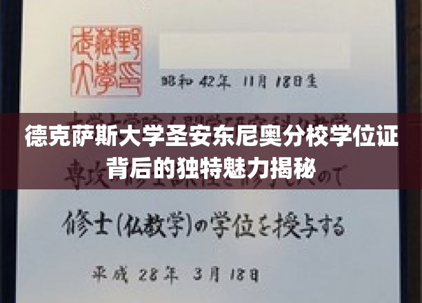 德克萨斯大学圣安东尼奥分校学位证背后的独特魅力解析