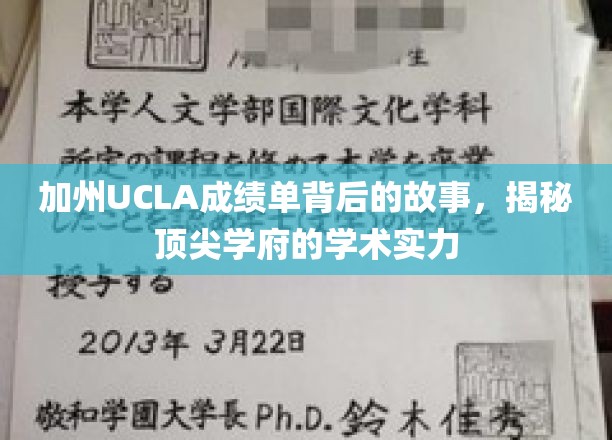 解码UCLA成绩单，探寻加州顶级学府的学术魅力