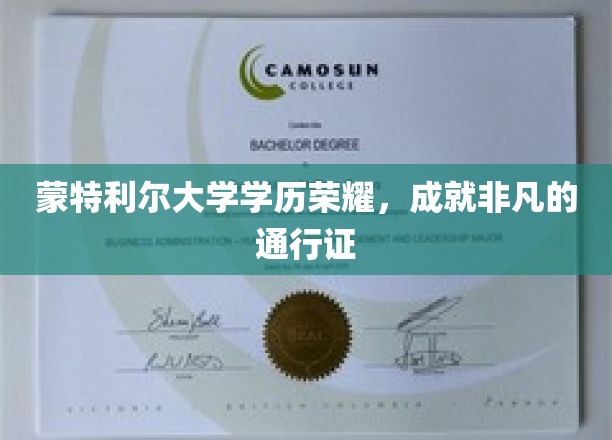 蒙特利尔大学学历闪耀，开启非凡成就之旅