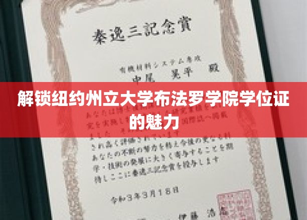探寻纽约州立大学布法罗学院学位证的独特价值