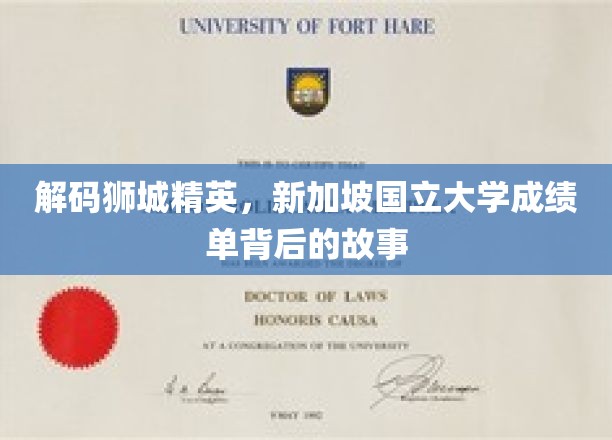 解码狮城精英，新加坡国立大学成绩单背后的故事