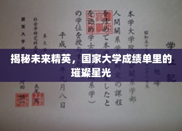 培养未来领袖，高校成绩单中的闪耀之星