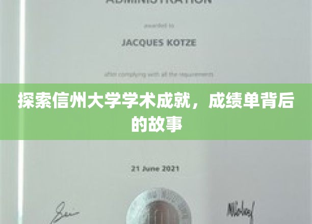 探索信州大学学术成就，成绩单背后的故事