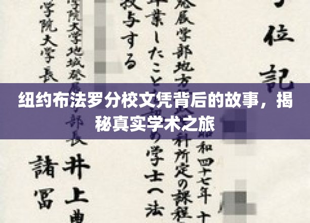 纽约布法罗分校文凭背后的故事，揭秘真实学术之旅