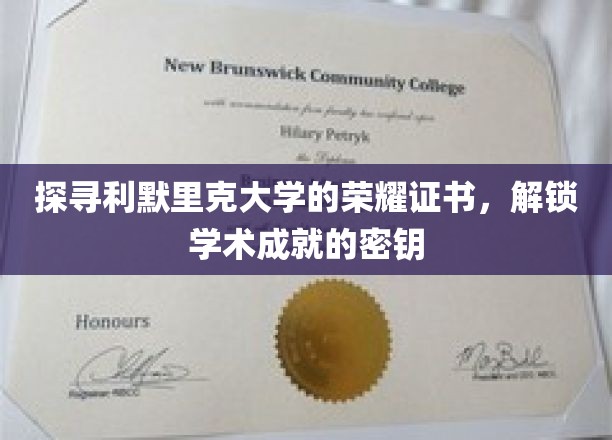 利默里克大学荣耀证书之谜，解锁成就背后的学术宝藏