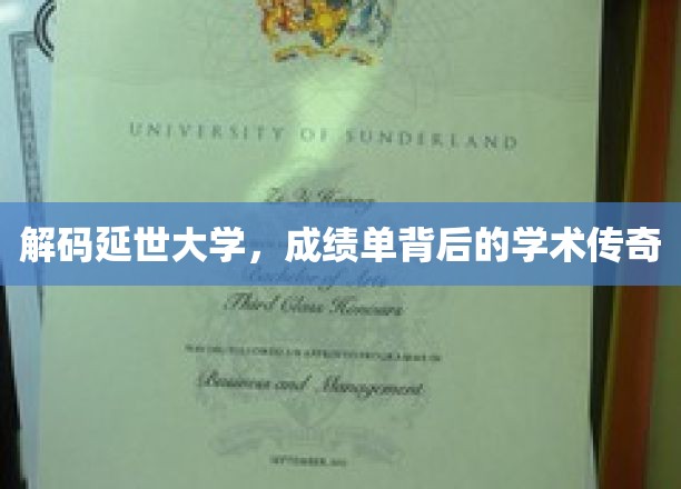 探索延世大学，揭开优秀成绩单背后的学术奥秘