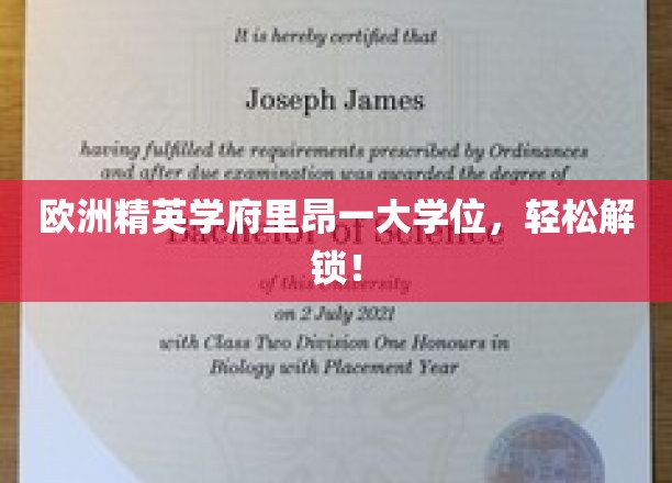 漫步里昂一大学位，轻松实现欧洲留学梦