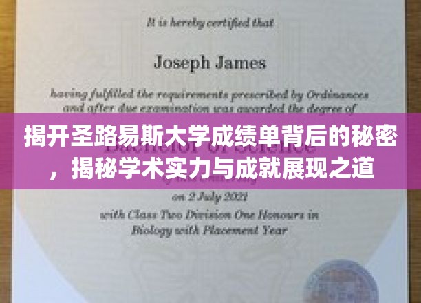 解码圣路易斯大学成绩单，成就与实力的秘密面纱