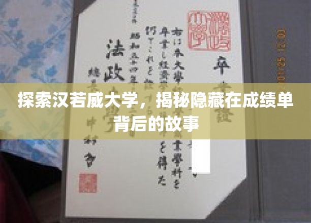 揭开汉若威大学成绩单背后的秘密世界