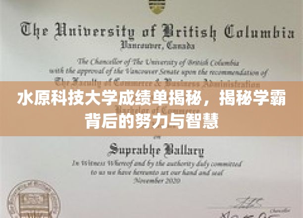 水原科技大学成绩单揭秘，揭秘学霸背后的努力与智慧