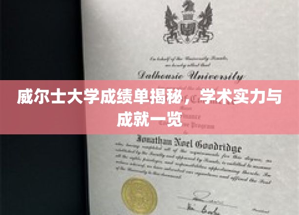 威尔士大学成绩单揭秘，学术实力与成就一览