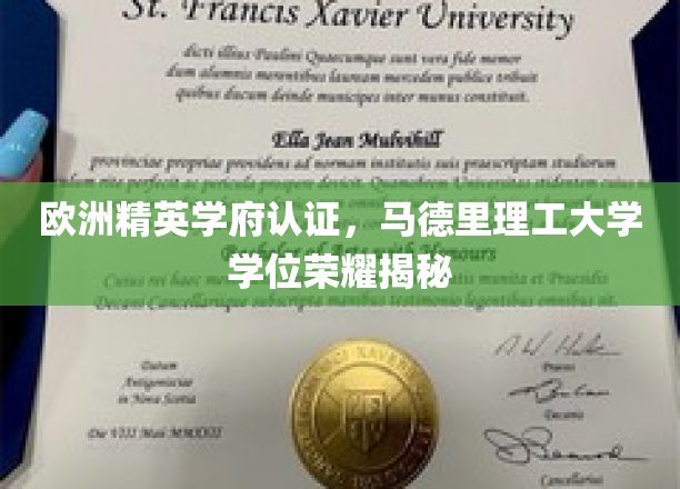 欧洲精英学府认证，马德里理工大学学位荣耀揭秘