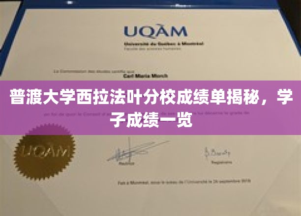 普渡大学西拉法叶分校成绩单揭秘，学子成绩一览
