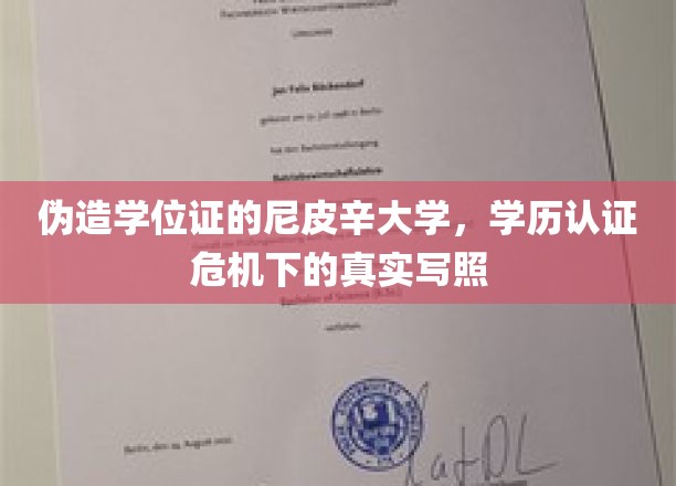 尼皮辛大学伪造风波，学历认证乱象下的校园隐痛