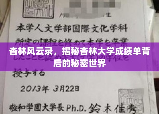 杏林传奇，揭开杏林大学成绩单背后的神秘面纱