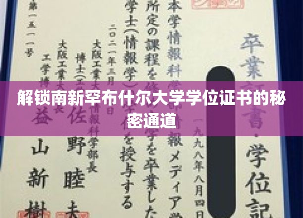 探索南新罕布什尔大学学位证书的奥秘
