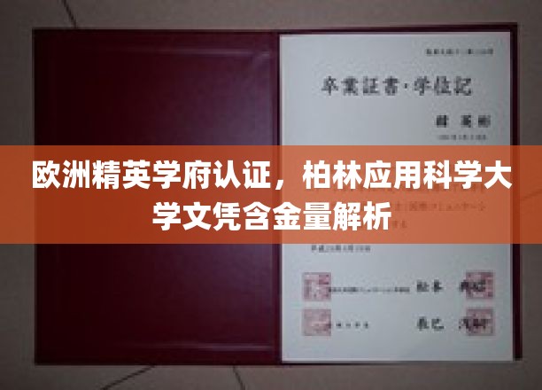 柏林应用科学大学，欧洲精英学府认证，揭秘文凭的全球认可度与价值