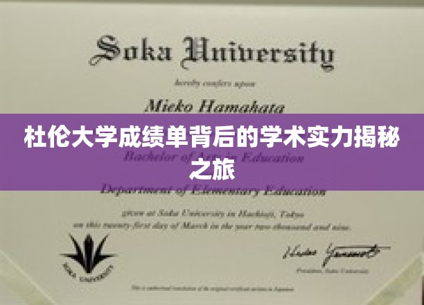 杜伦大学成绩单深探，解码学术实力背后的神秘之旅