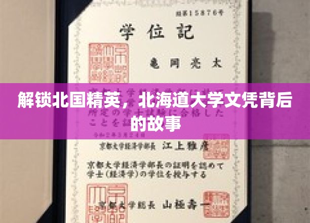 探寻北海道大学文凭的神秘魅力与精英养成记