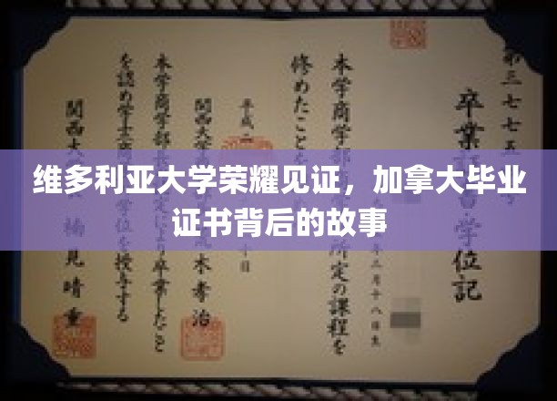 加拿大维多利亚荣耀，一纸毕业证书背后的传奇历程
