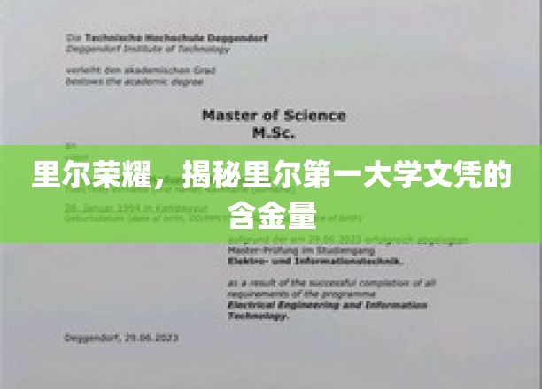 里尔学府荣耀，深度解析里尔第一大学文凭的珍贵价值