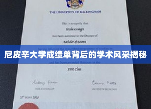 尼皮辛大学成绩单背后的学术风采揭秘