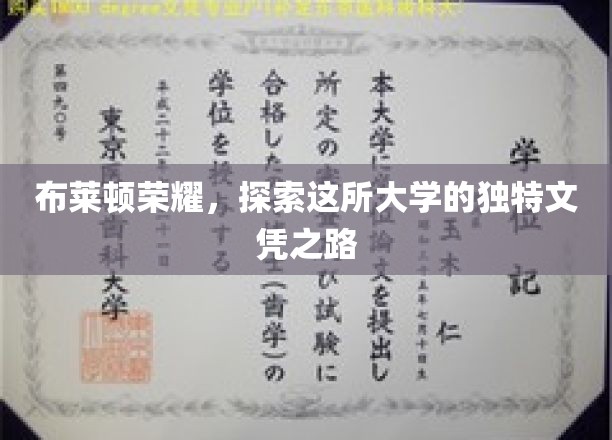 布莱顿荣耀,探索这所大学的独特文凭之路