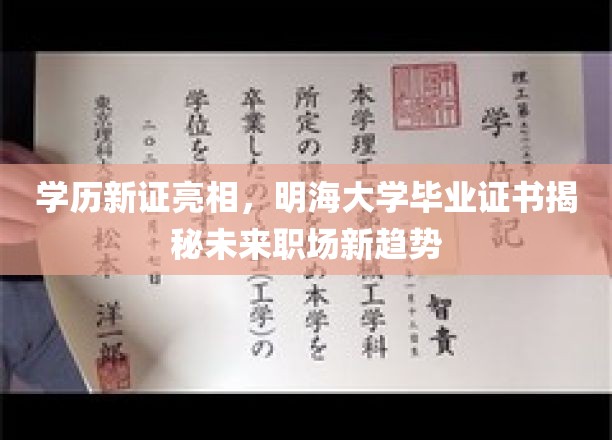 未来职场通行证，明海大学新学历证书引领就业新风向