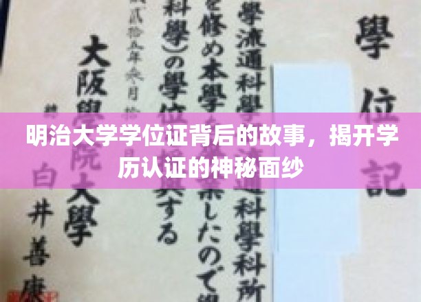 探寻明治大学学位证的传奇历程，揭秘学历认证的神秘面纱