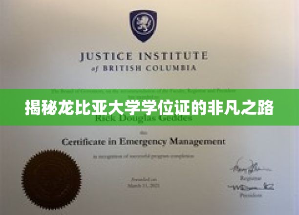 龙比亚学位证背后的传奇之路，揭秘名校认证的神秘面纱