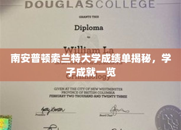 探索南安普顿索兰特大学学子辉煌，成绩单背后的故事揭晓