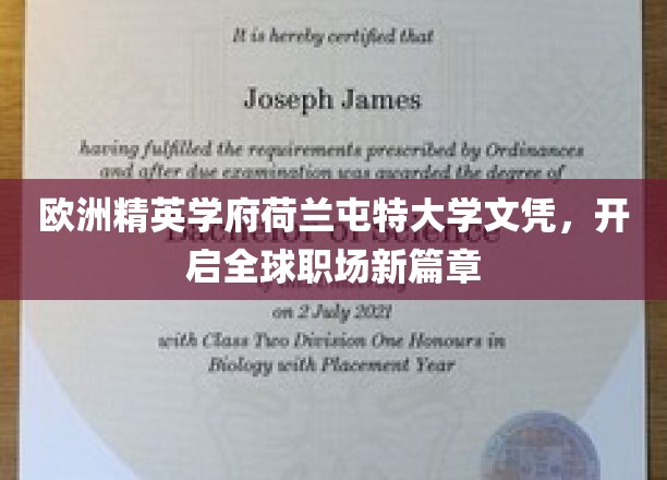 荷兰屯特大学精英文凭，助力职场未来无限可能