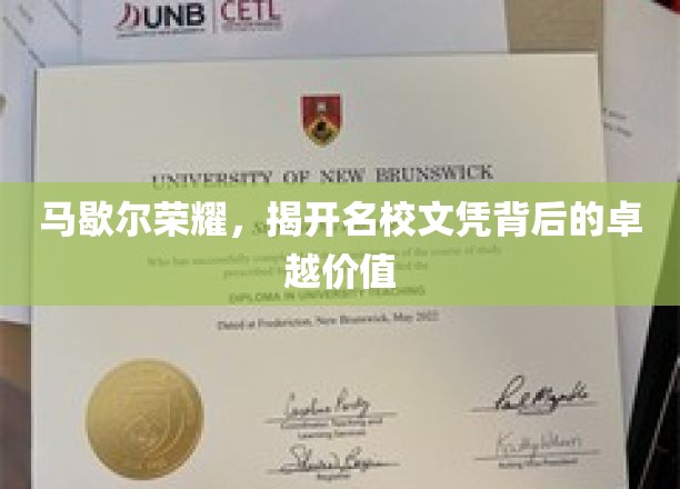 马歇尔荣耀，名校文凭背后的非凡魅力与价值