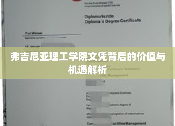 解码弗吉尼亚理工学院文凭，价值潜能与广阔机遇全解析