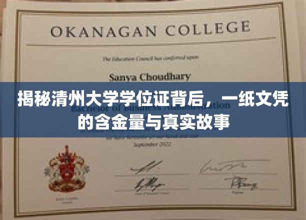 清州大学学位证，探寻一纸文凭背后的价值与传奇
