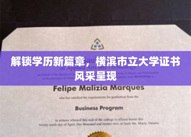 学历新纪元开启，横滨市立大学证书展魅力风采