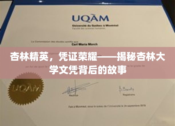 杏林荣耀证，探秘大学文凭的传奇之旅