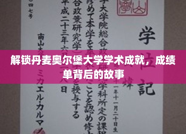 解锁丹麦奥尔堡大学学术成就，成绩单背后的故事