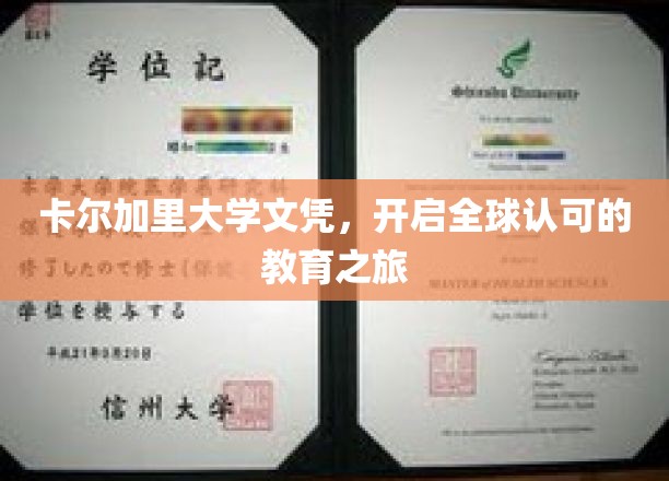 卡尔加里大学文凭，通向国际舞台的黄金钥匙
