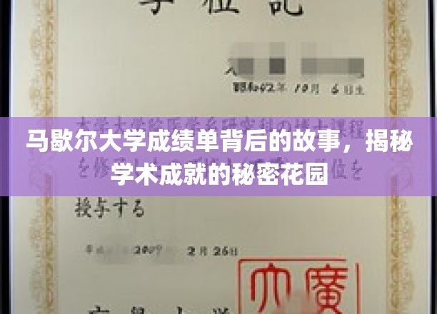 马歇尔大学成绩单揭秘，探索学术成就的奥秘之地