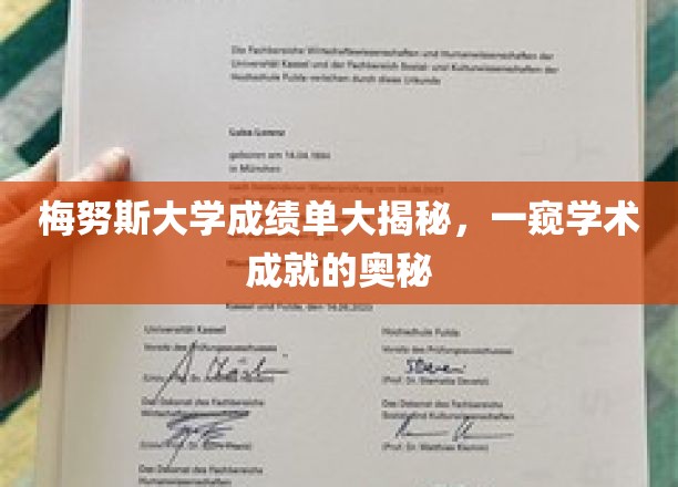 梅努斯大学成绩单大揭秘，一窥学术成就的奥秘
