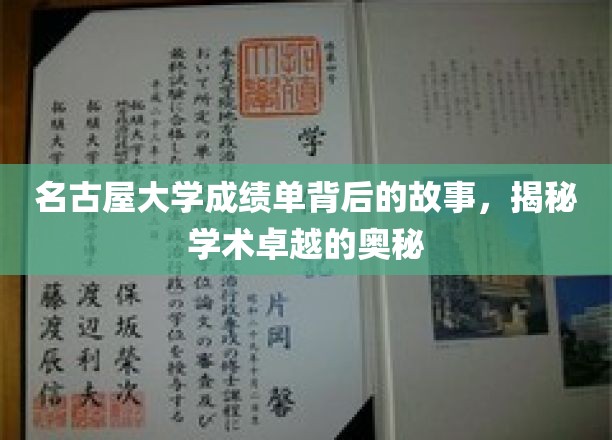 名古屋大学成绩单背后的故事，揭秘学术卓越的奥秘
