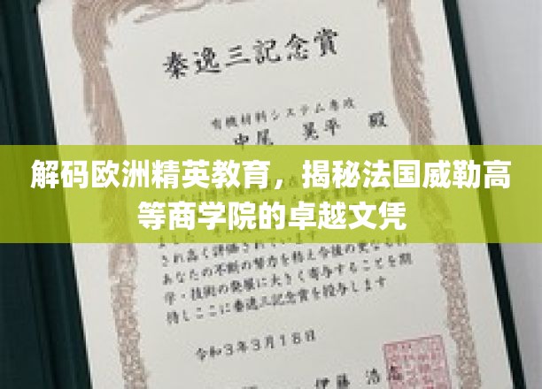 探索法国威勒高等商学院，解锁欧洲精英教育的奥秘