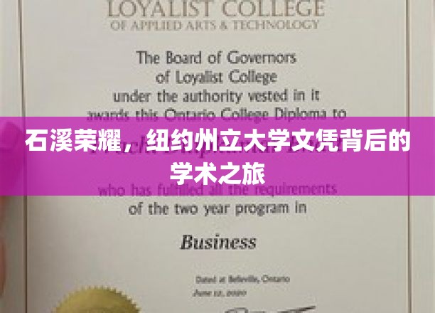 石溪之光，探索纽约州立大学文凭背后的辉煌学术足迹