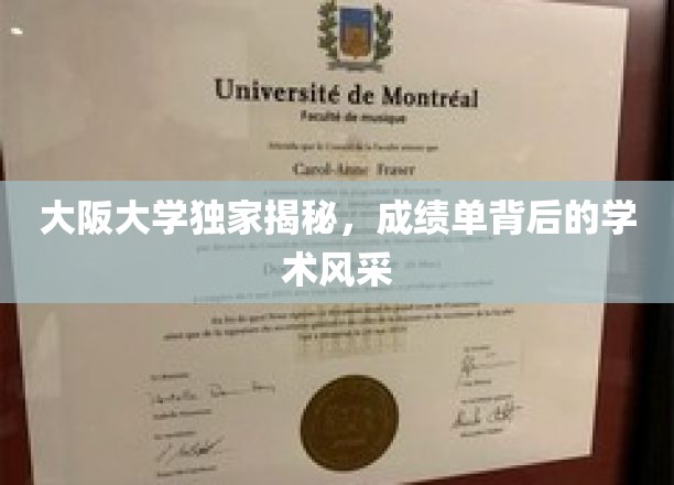 探寻大阪大学成绩单背后的学术魅力