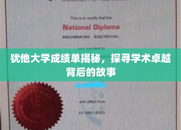 探寻犹他大学卓越学术背后的惊人成绩单真相
